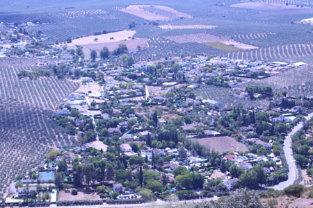 campo de aras cristo marroqui lucena