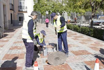control plagas desratizacion lucena