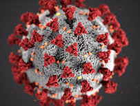 coronavirus lucena