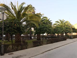 jardines enrique cuenca lopez