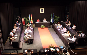 pleno lucena palacio erisna coronavirus covi 19 julio 20