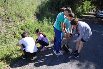 reforestacion mejorana lucena