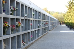 cementerio lucena san jorge difuntos santos