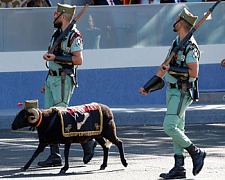 Desfiles, por Pepe Morales desfile fiesta nacional